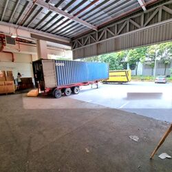 Trivex (D13), Warehouse #567464611